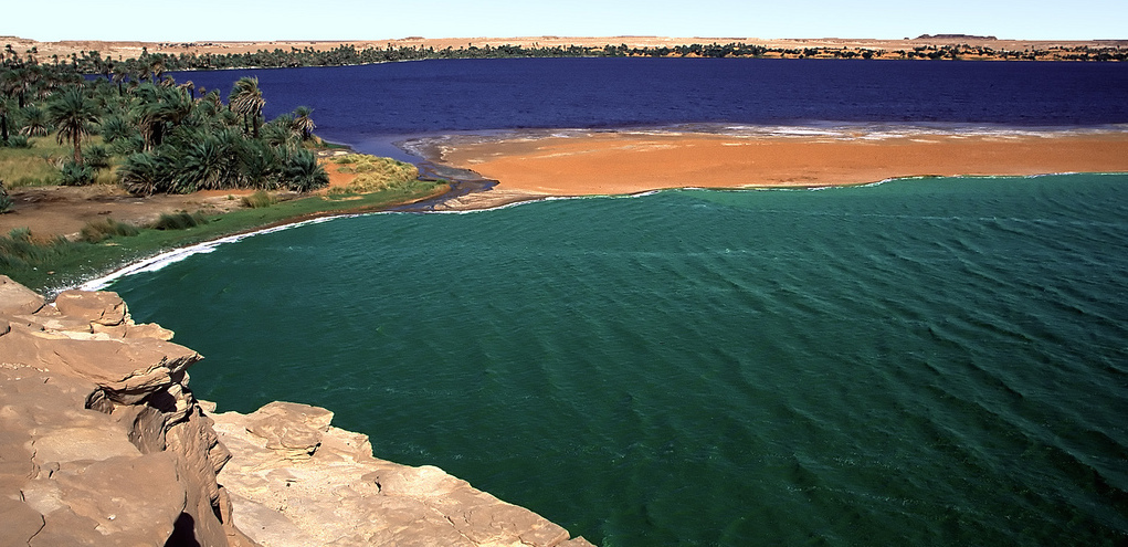 Spirulina Origine Spirulina Origine