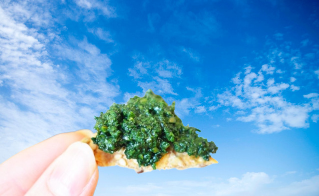 tapenade_à_la_spiruline tapenade_à_la_spiruline